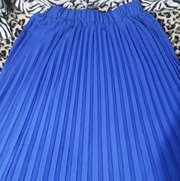 Women Blue belted pleated maxi skirt - Picture 2 of 15
